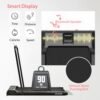 WF-3005 (2.5 HP DC Motor) Foldable 2-in-1 Treadmill - Image 4